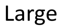 Main Sponsor